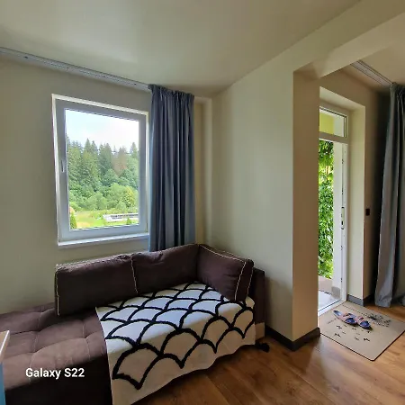 Вілла Річка Guest house Richka