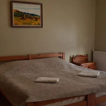 Вілла Річка Guest house